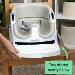 Ingenuity Baby Base 2-in-1 Seat