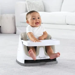 Ingenuity Baby Base 2-in-1 Seat