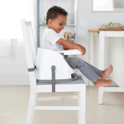 Ingenuity Baby Base 2-in-1 Seat
