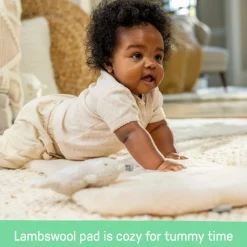 Ingenuity Every Season Swing n Go Portable Swing