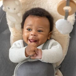 Ingenuity Every Season Swing n Go Portable Swing