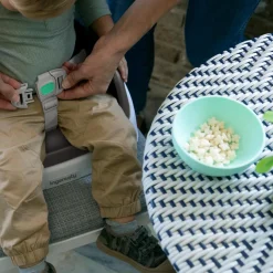Ingenuity Smart Clean Toddler Booster Seat