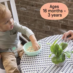 Ingenuity Smart Clean Toddler Booster Seat