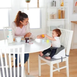 Ingenuity Smart Clean Toddler Booster Seat