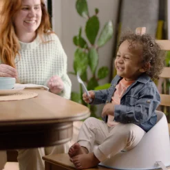 ity by Ingenuity Simplicity Seat Easy Clean Booster Seat