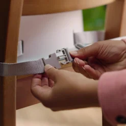 ity by Ingenuity Simplicity Seat Easy Clean Booster Seat