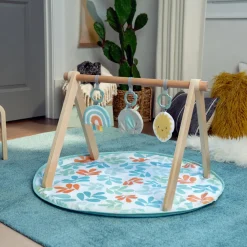 ity by Ingenuity Sun Valley Wooden Toy Arch & Play Mat