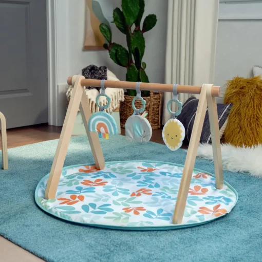 ity by Ingenuity Sun Valley Wooden Toy Arch & Play Mat