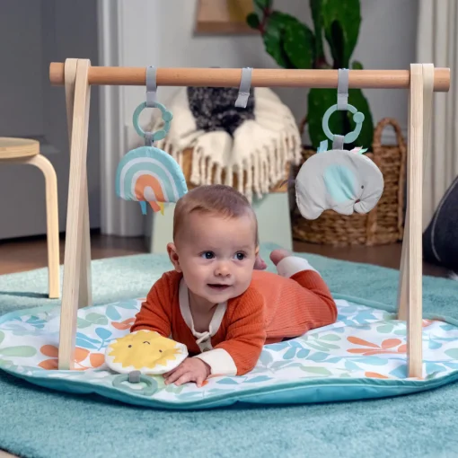 ity by Ingenuity Sun Valley Wooden Toy Arch & Play Mat