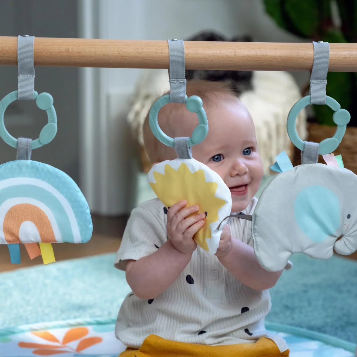 ity by Ingenuity Sun Valley Wooden Toy Arch & Play Mat