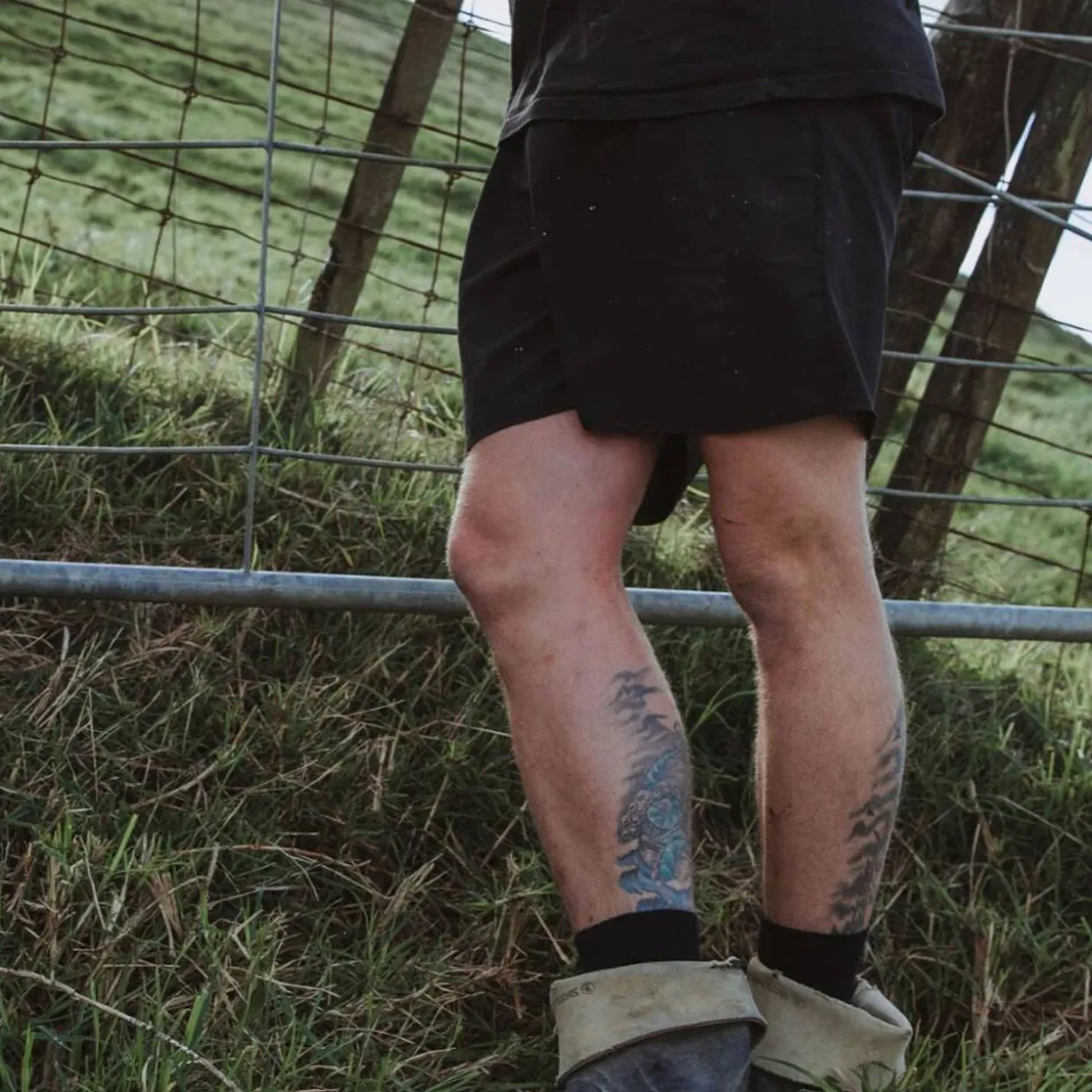 Lamington Mens Crew Merino Socks - Rib