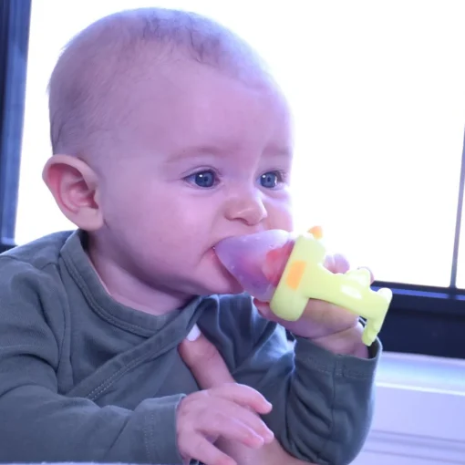 Melii Duck Fresh Feeder