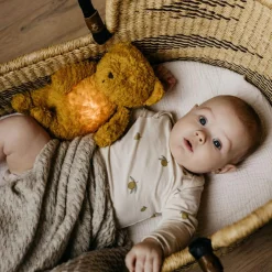 Moonie - The Organic Humming Bear