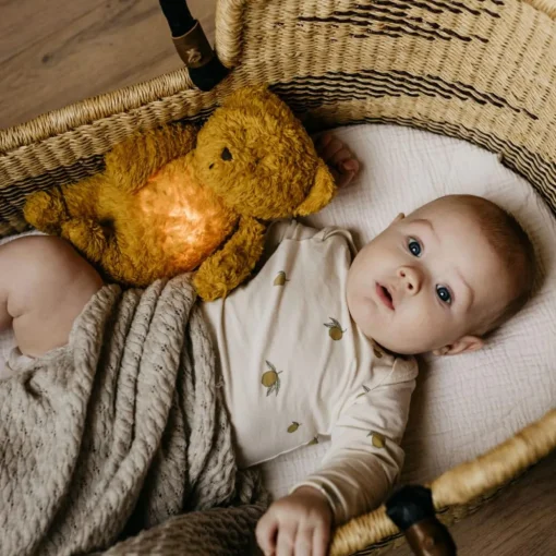 Moonie - The Organic Humming Bear