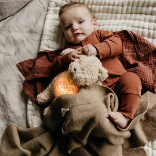 Moonie - The Organic Humming Bear