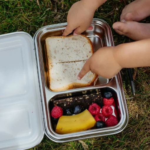 Nestling Stainless Steel Duo Bento Box