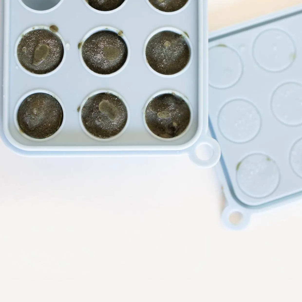 Petite Eats Freezer Tray