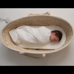 The Sleep Store Moses Basket