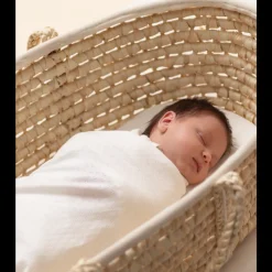 The Sleep Store Moses Basket
