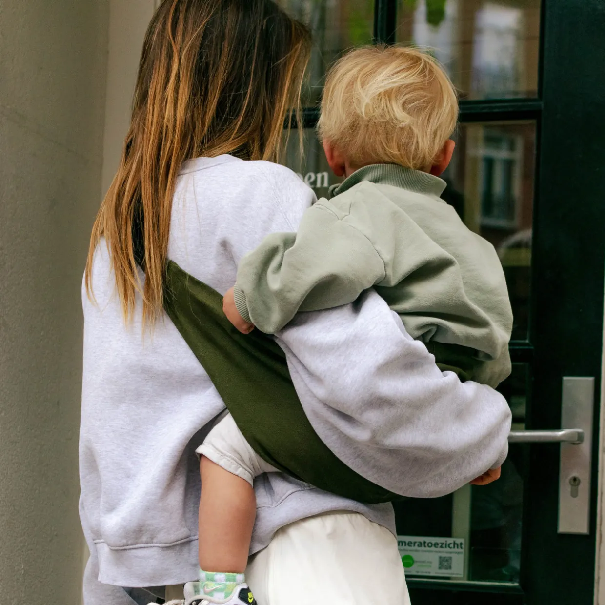 Wildride Toddler Carrier