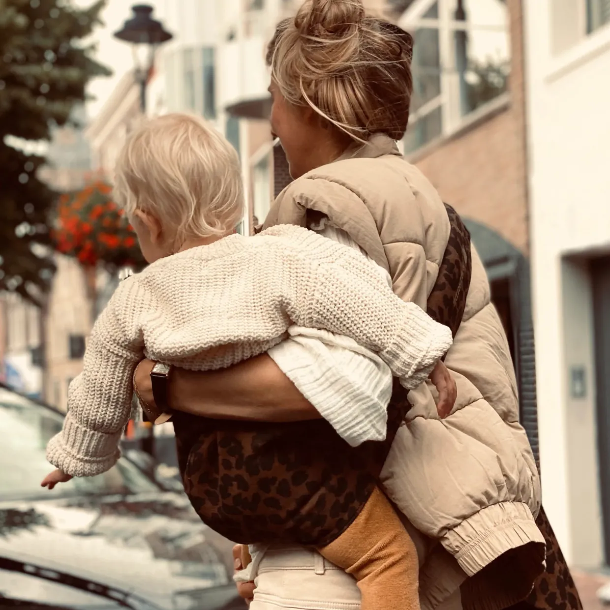 Wildride Toddler Carrier - Prints