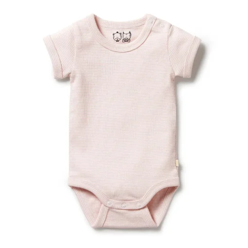 Wilson & Frenchy Organic Rib Short Sleeve Bodysuit