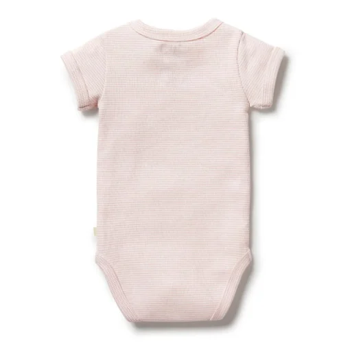Wilson & Frenchy Organic Rib Short Sleeve Bodysuit