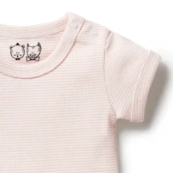 Wilson & Frenchy Organic Rib Short Sleeve Bodysuit