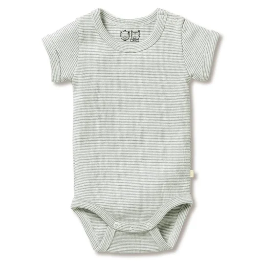 Wilson & Frenchy Organic Rib Short Sleeve Bodysuit