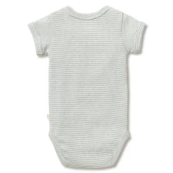Wilson & Frenchy Organic Rib Short Sleeve Bodysuit
