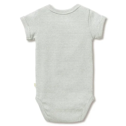 Wilson & Frenchy Organic Rib Short Sleeve Bodysuit