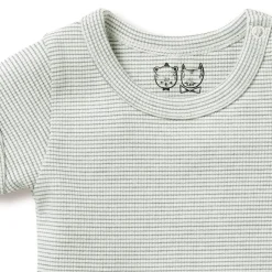Wilson & Frenchy Organic Rib Short Sleeve Bodysuit