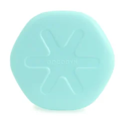Goodbyn Ice Brick